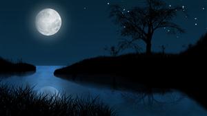 小白船—静谧的月夜