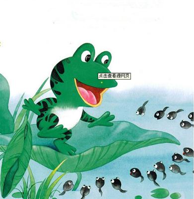 青蛙妈妈—青蛙妈妈和小蝌蚪1
