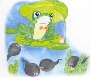 青蛙妈妈—青蛙妈妈和小蝌蚪2