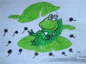 小青蛙找家—青蛙和蝌蚪