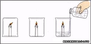 蜡烛的燃烧现象为什么不同