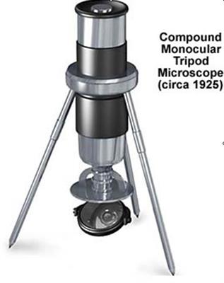 显微镜10