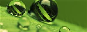 《绿色植物与生物圈的水循环》知识全解