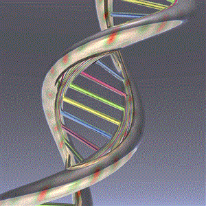 DNA 6