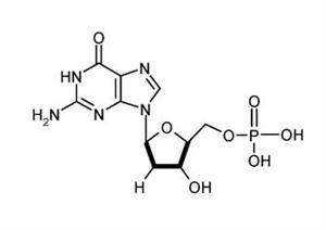脱氧核糖核酸1