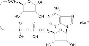 二磷酸腺苷2