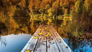 秋天的湖边