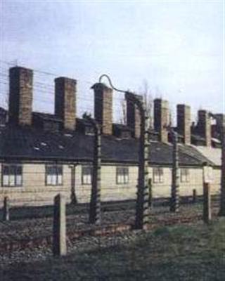 纳粹集中营