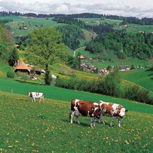 欧洲西部畜牧业发展的影响因素