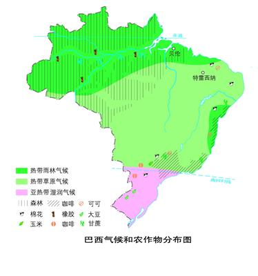 10.62 巴西气候类型与植物分布