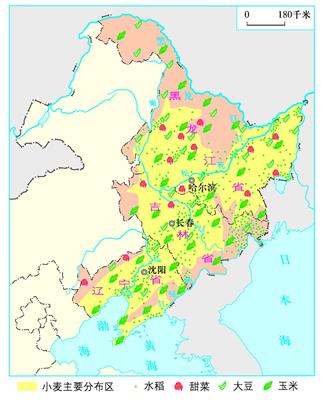 6.6 东北三省主要农作物的分布