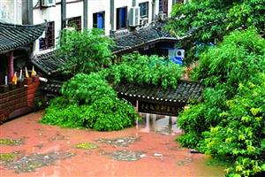 6.32 重庆洪涝灾害