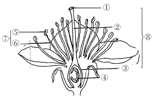 下图是桃花结构图,据图回答下列问题:(0分)1.